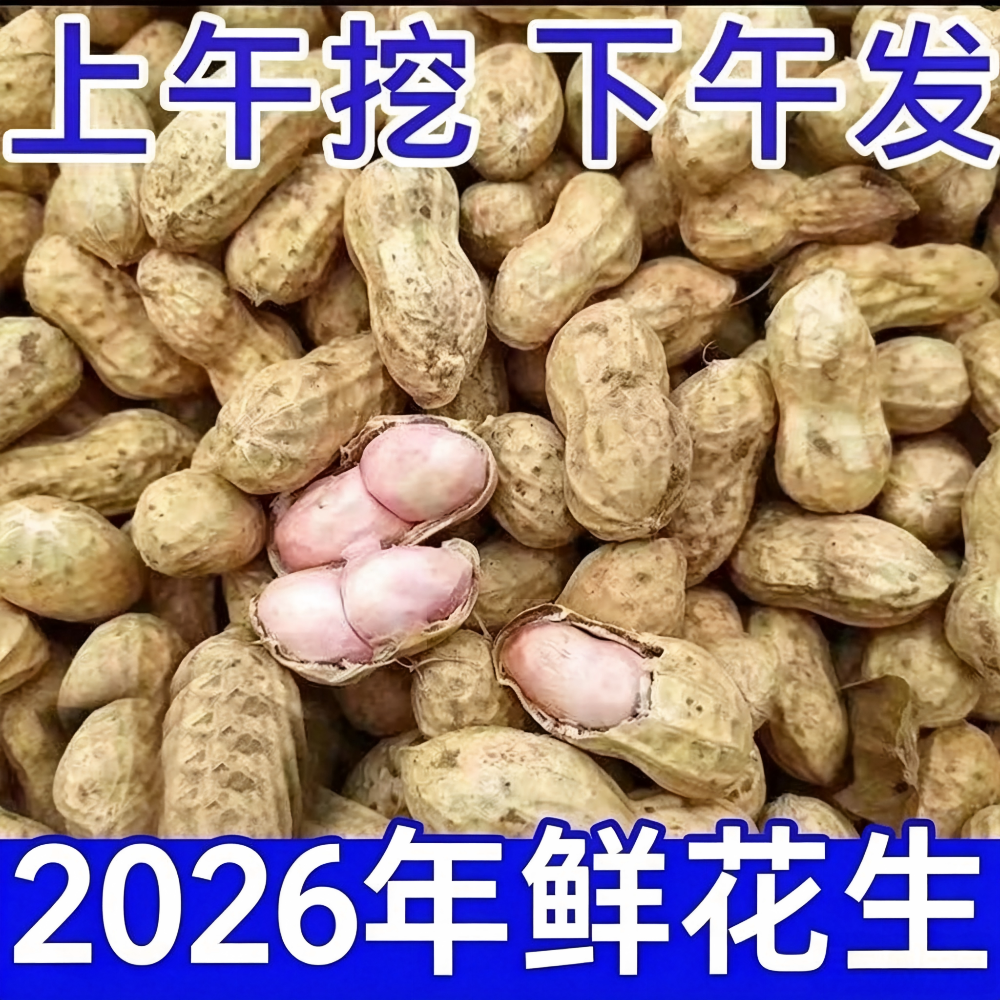 26年新货现挖粉皮湿花生可水煮