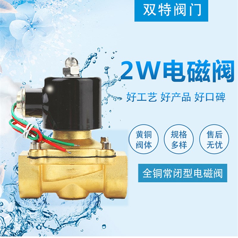 2W纯铜电磁阀 水阀气阀12V 220V 24V常闭电磁阀门 防水4分6分