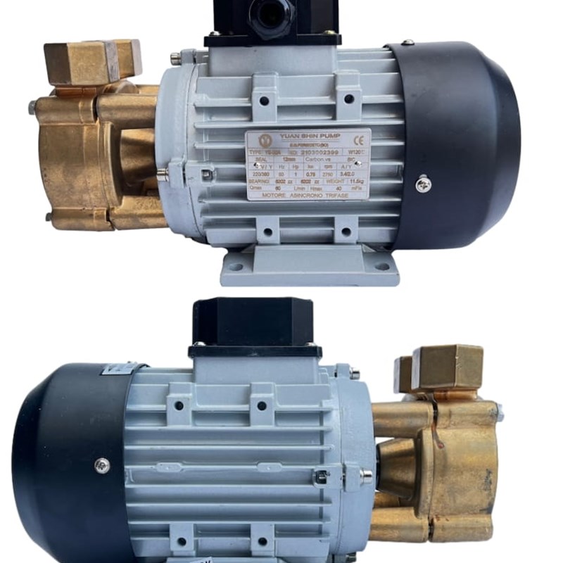 WD-20高温油泵模温机泵浦热水循环泵家用铸铜电动抽水泵热油泵