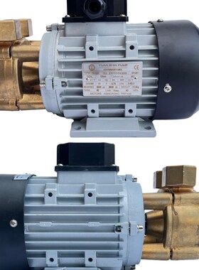 WD-07S-200单相220V高温导热油泵模温机热水循环泵电动锅炉补水泵