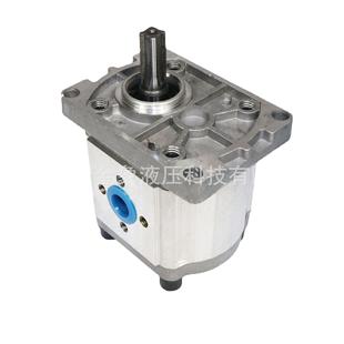 液2压齿轮泵CBN 1320花键35 IZGF304扁键306平键314左旋310右旋36