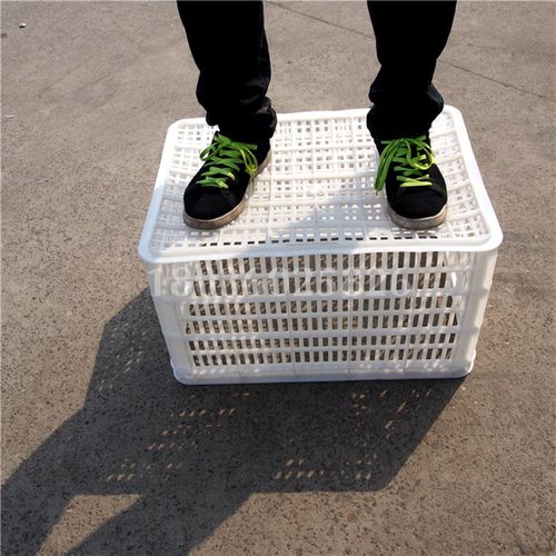 加厚592塑料长i方形水果蔬菜筐周转箱鸡蛋储物框600*420*350