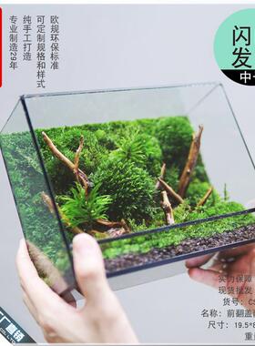 生态瓶苔藓微景观绿植盆栽水草鱼缸装饰造景摆件几个森林玻璃花房