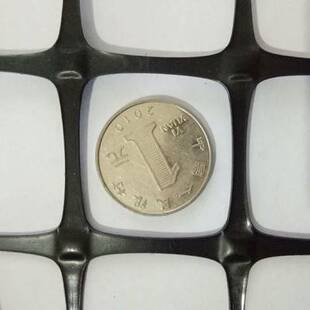 现货养殖防护网鸡鸭料小孔网塑料网格栅网拦网漏粪网床护栏围栏