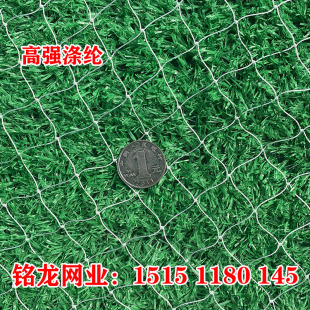 高强涤纶防鸟网果园鱼塘尼龙复丝葡萄草莓大棚Q边网牛蛙锦鲤养殖