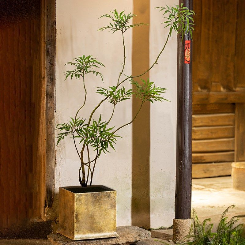 仿真绿植室内十大功劳假树落地盆栽E侘寂风高级仿生植物装饰摆件,家居饰品,仿真植物盆景,淘宝优惠券,粉丝福利购,淘宝优惠卷