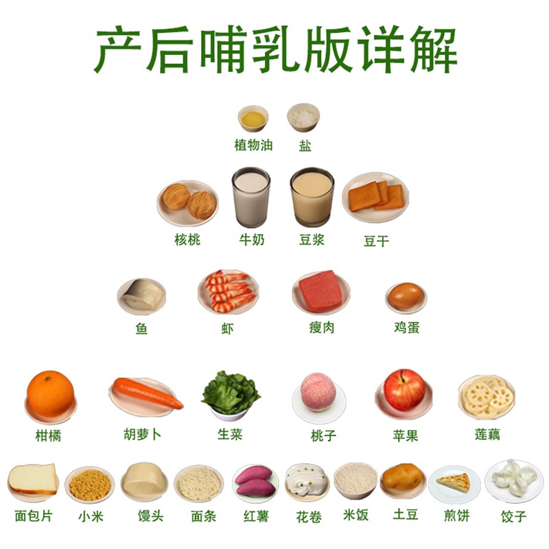 膳食宝塔教学模型中国居民平衡饮食金字塔仿真营养食物Y交换份模