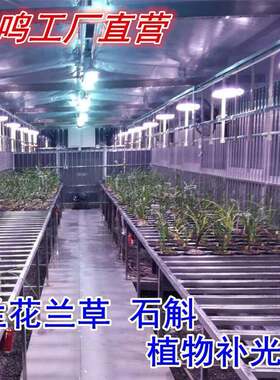 合鸣5W0/兰花兰草植物补光灯绿花卉生MXY长灯大棚补光植灯全光谱