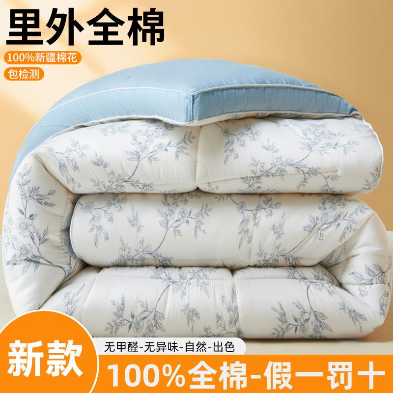 a类棉棉花宿被春秋被加厚全保暖冬被家用学生舍单ISS人褥四季被通