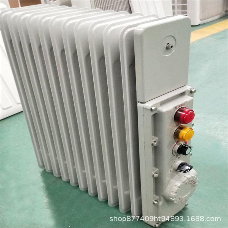 爆隔型电热热取暖器13片密闭电热油汀式大功率81815矿用取暖散片