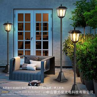 1710MM塑料方形尖带六角底座方片太阳能路单灯(双咨询钨丝灯头顶)