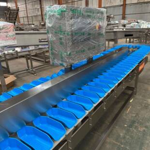 蟹重量分选MRB鲍鱼克重等级分拣机鱿鱼多机级别动自分螃级设备