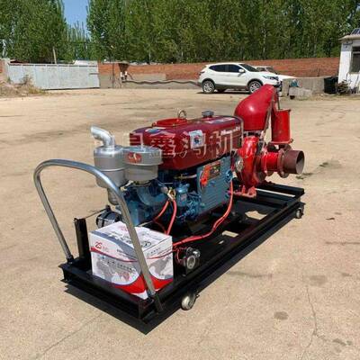 小型汽油自吸6寸工地排污养殖场三抽粪泵00031移式柴油寸自吸动泵