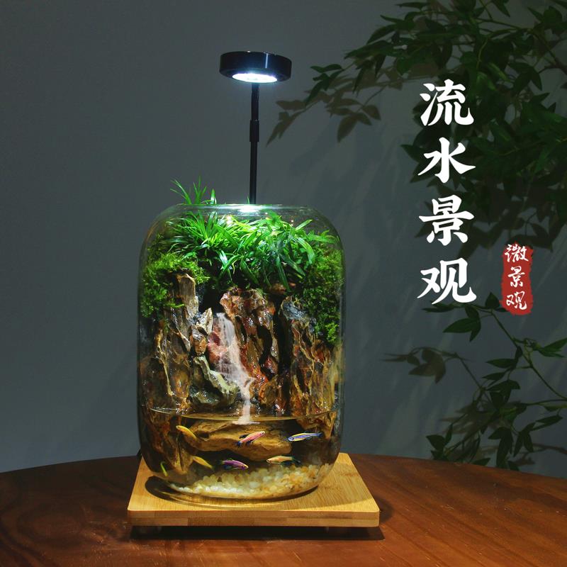 创意景流观办微公室桌面绿植盆栽瓶耐养免打理生态可养fy709469鱼