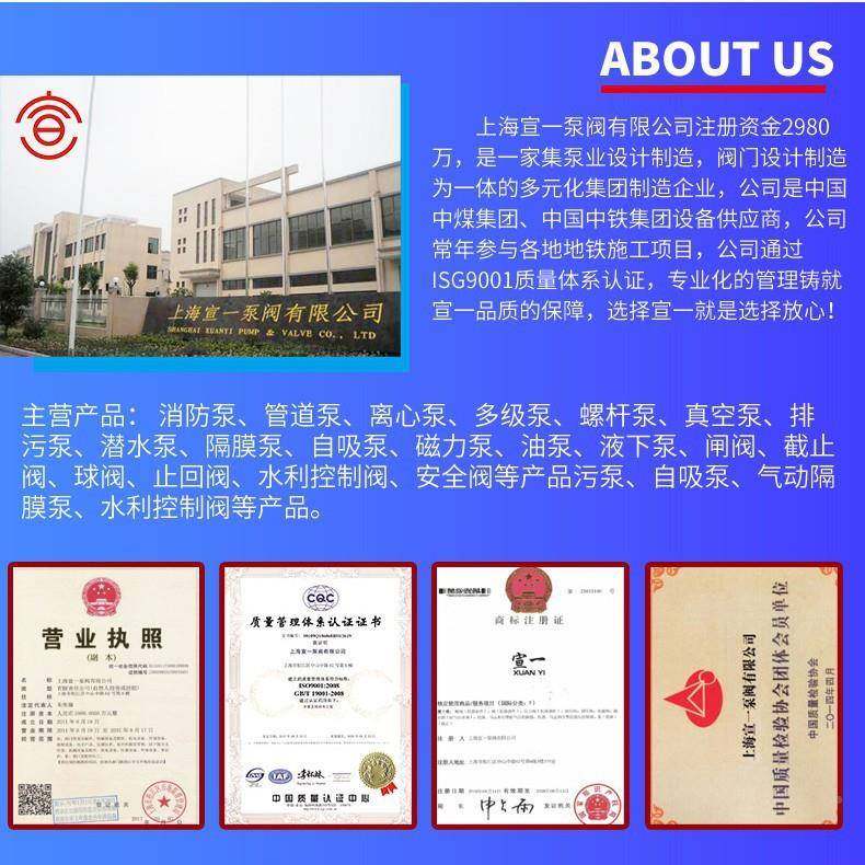 宣一JYWQ潜水污带泵搅拌42566轮铸铁排不锈钢材质潜水泵叶厂家工,玩具/童车/益智/积木/模型,其它,淘宝优惠券,粉丝福利购,淘宝优惠卷