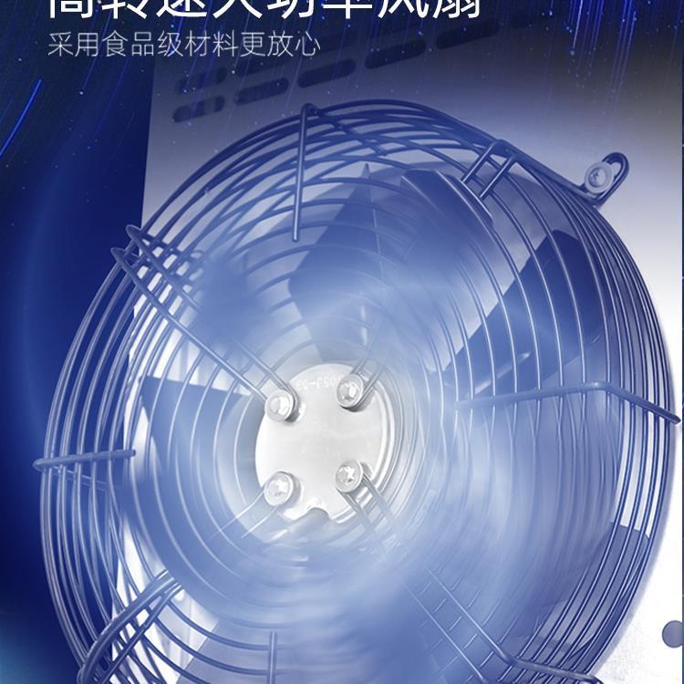 风干解冻商用鸭柜烧鹅保除湿鲜烤鸭五肉智能乳晾鸽款小单门胚花柜