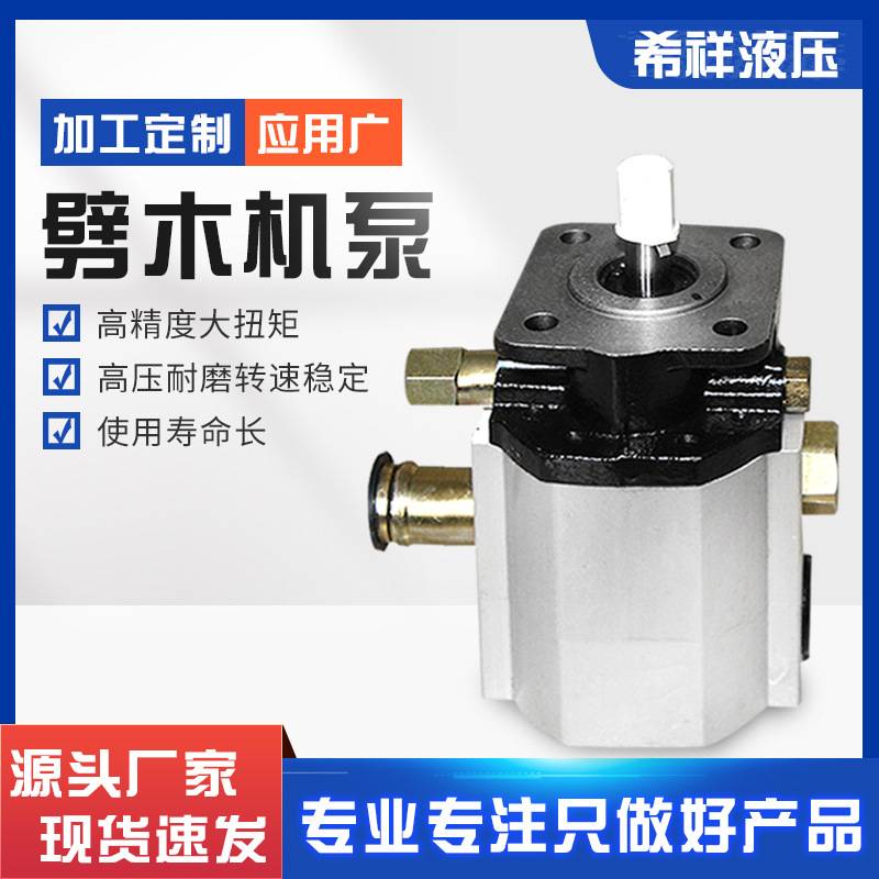 树墩劈木机泵 卧式劈木机泵 10GPM11GPM12GPM13GPM16GPM