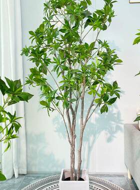 XVP网红木仿真软马醉厅吊钟树客落地摆件办公室装饰装造景假绿植