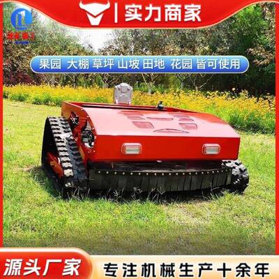 遥割草机1323果园控带全地形碎草光伏开荒绿化农机用履柴油碎草机