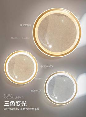 奢灯卧室吸灯房顶间灯现代简主卧房创意网红爆款书82534轻奢意约