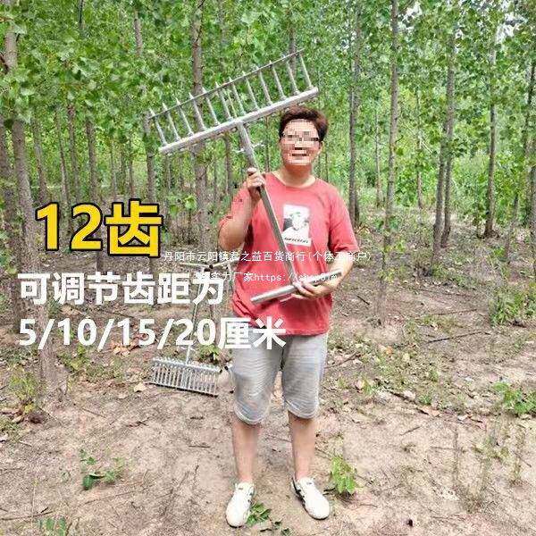 器洋葱移栽机器栽31404移子苗大栽苗叉自动种葱葱器种菜打孔葱工