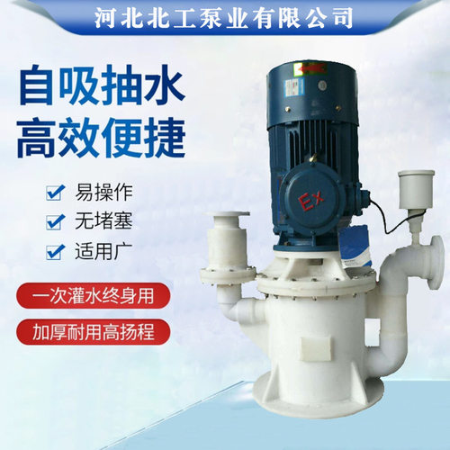 WFB型自控自吸铸铁立式排污泵