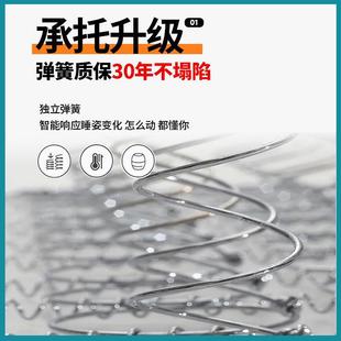 M·01 席梦床垫家用弹簧床厚垫1.5m1.JBY米椰棕加硬软垫280cm