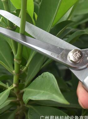 佐川吉直头剪3剪28长刃修枝剪摘果盆景修剪加葡萄修疏叶稀VFZ果花