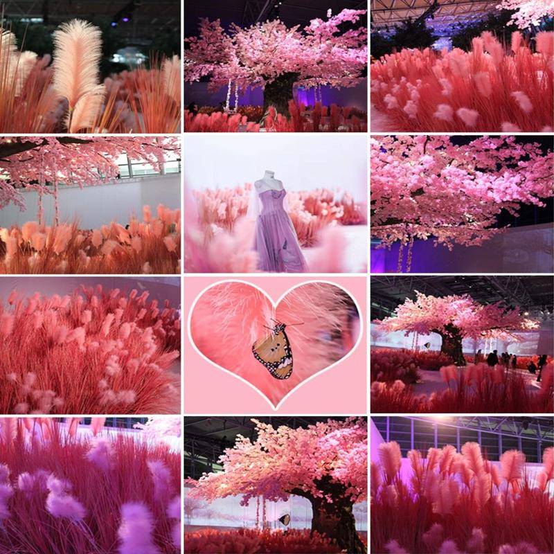 粉色芦苇花红景观花束婚庆场橱窗干装饰FIH红色芦苇网花室内商外