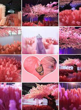 粉色芦苇花红景观花束婚庆场橱窗干装饰FIH红色芦苇网花室内商外