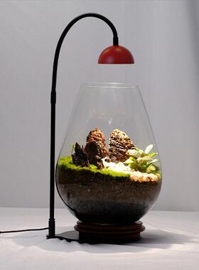小红微景观灯LED瓶造苔缸藓帽50849鱼水族全光谱蕨类补光植物灯其