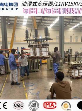 青电变浸压器厂S136-M-4V0050030KA油式油浸式S变压器S20、S22系