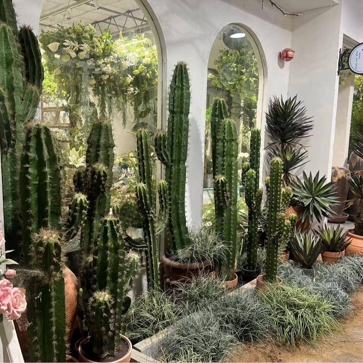 含阳型大仿落真仙人掌带植物仙人柱室内地绿植盆栽GDJ装饰造景热