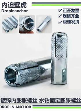 2内膨胀15505式水钻支架固定螺台丝爆螺丝台式钻孔内机顶爆M1整箱