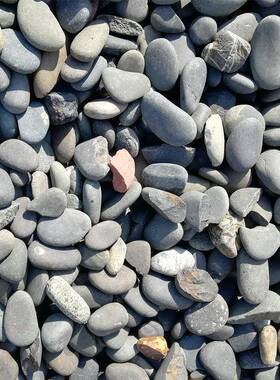 石色黑鹅卵石黑QOA河雨花石子园林道路用石子黑色铺路石头滩石水