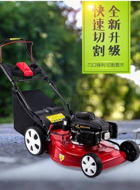 汽油割草机手推式草坪除草修剪机机果走园自打机草机剪草机推IUE