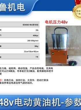 0高压电动黄油机BD用606-2DBE20便携式力发风电配电动注脂机现货
