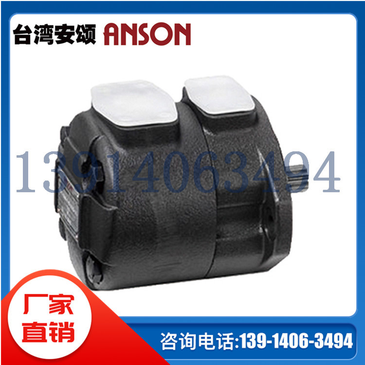 台湾ANSON安颂 IVP21-19-6/7/8/11/12/14-F-R-1/86AA/BB/CC/DD-10