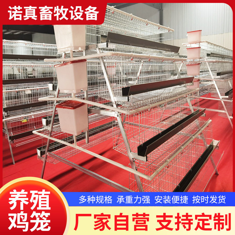 热镀锌阶梯蛋鸡笼抗老化多层结构节省空间蛋鸡养殖专用笼具鸡棚
