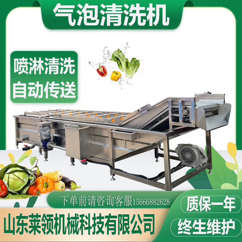 多功能白菜气泡清洗机 商用喷淋式果蔬清洗机 气泡翻浪式清洗设备