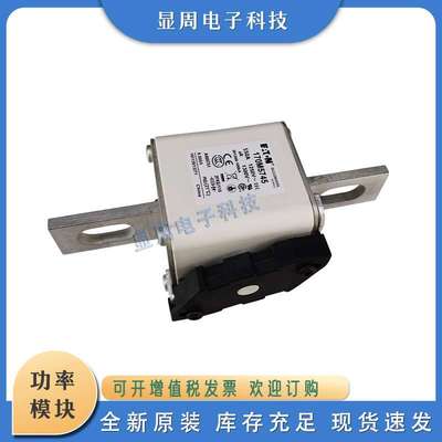 全新保险丝熔断器170M5745 170M5746 170M5747 170M5748 170M5749