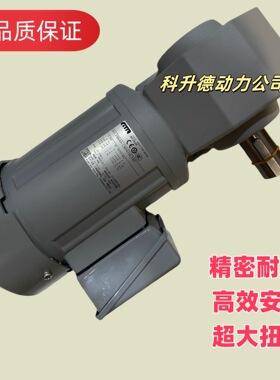G3K22N100-CTM020NTX 马达 电机 日静齿轮减速机 GTR株式会社日精