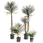 真龙舌假绿植室内外橱窗设仿计装 饰龙血KYD树栽剑麻盆家居植物兰