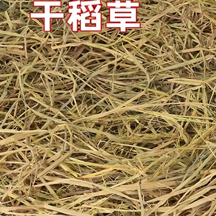鸡窝下蛋稻草干草垫料秸秆家用纯天然鸟窝母鸡小鸽子宠物保暖草垫