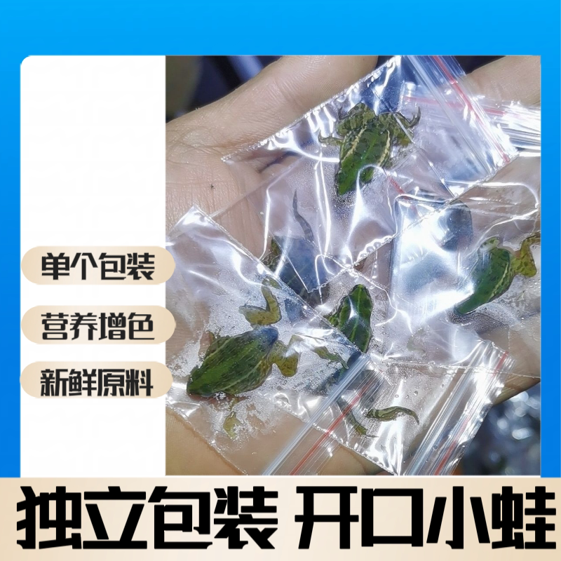 新鲜冷冻蛙独立包装观赏鱼