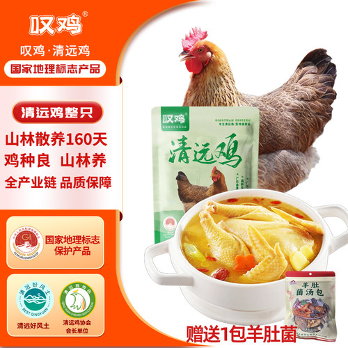 叹鸡广东清远鸡160天母鸡1000g