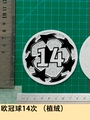 Uefa Champions League Ball, 14-Time (Flocked Finish)