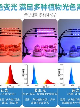 仿太阳植物生长灯室内多肉补光灯全光谱光合作用ledW微景观日照灯