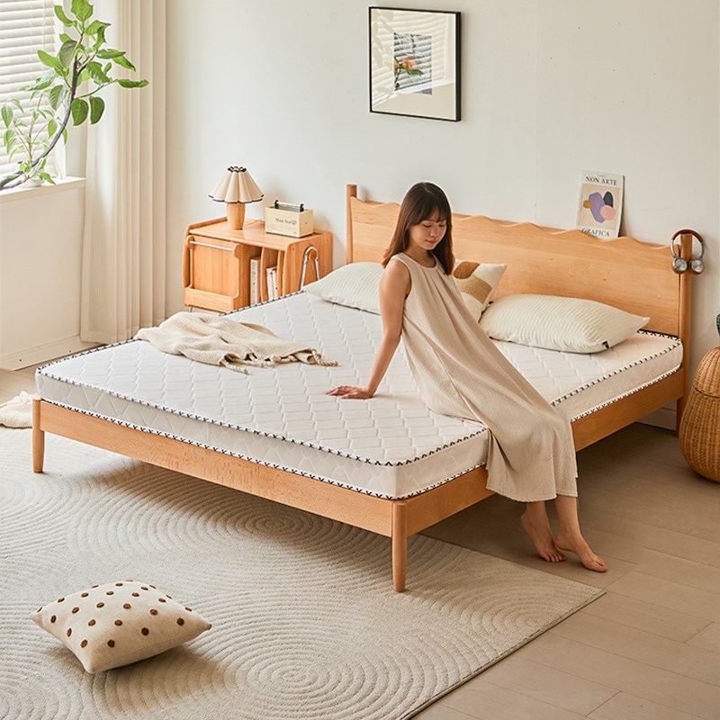 椰棕床垫b儿童硬棕榈家用1.8m1.5m经济卧室床垫护腰护脊榻榻米床