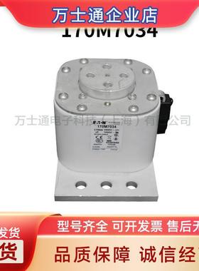 巴斯曼熔断器170M8630170M8631170M8632170M8638170M8639170M8640